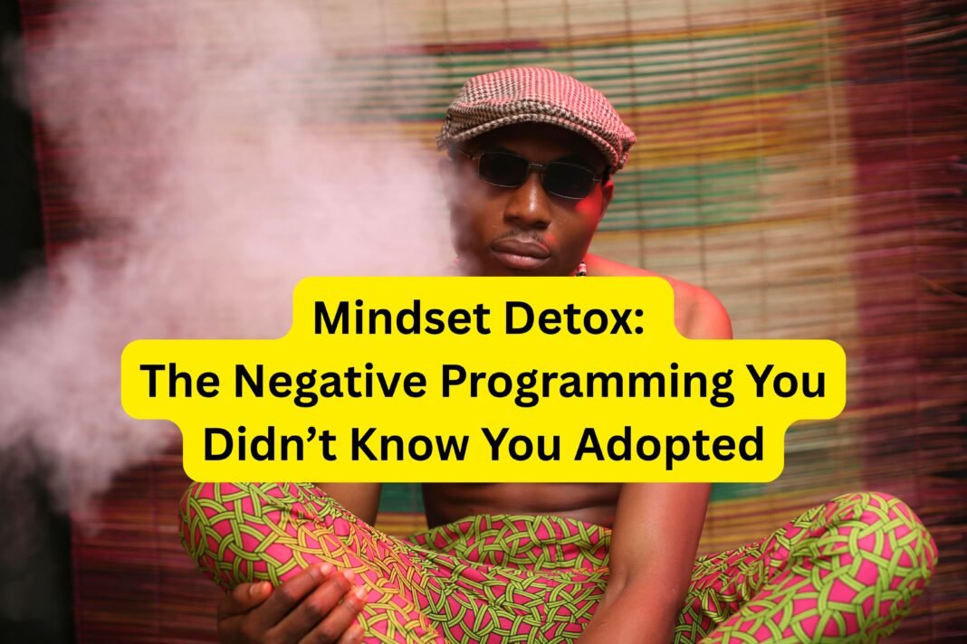 Mindset Detox The Negative Programming You Didn’t Know You Adopted
